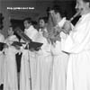 2.� FESTIVAL TERRAS SEM SOMBRA 2004 BEJA